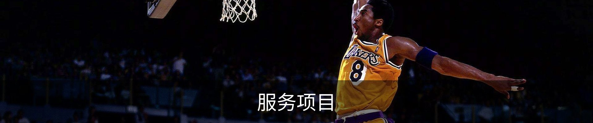 服务项目